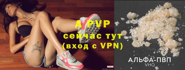 мяу мяу мука Медвежьегорск