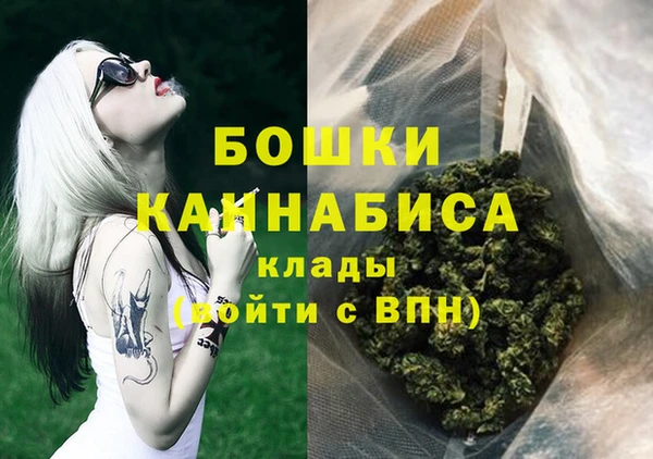 молекула духа Лабытнанги