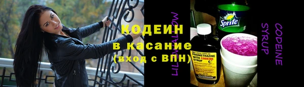 шишки Магадан