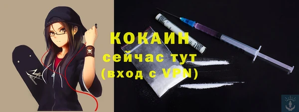 мяу мяу мука Медвежьегорск