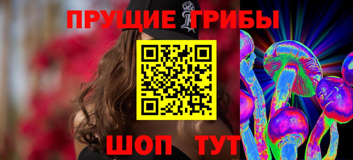 Галлюциногенные грибы мухоморы  Галлюциногенные грибы Psilocybe  Вход с VPN  Моздок 
