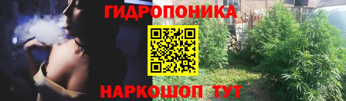 Моздок  Бошки марихуана LSD WEED  Шишки марихуана LSD WEED  Вход с VPN  МАРИХУАНА гибрид  Бошки Шишки конопля 